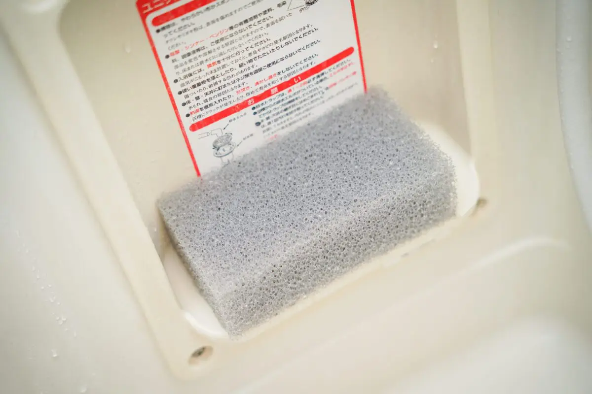 sirabee20240906sponge_6