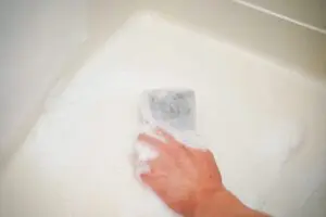 sirabee20240906sponge_7