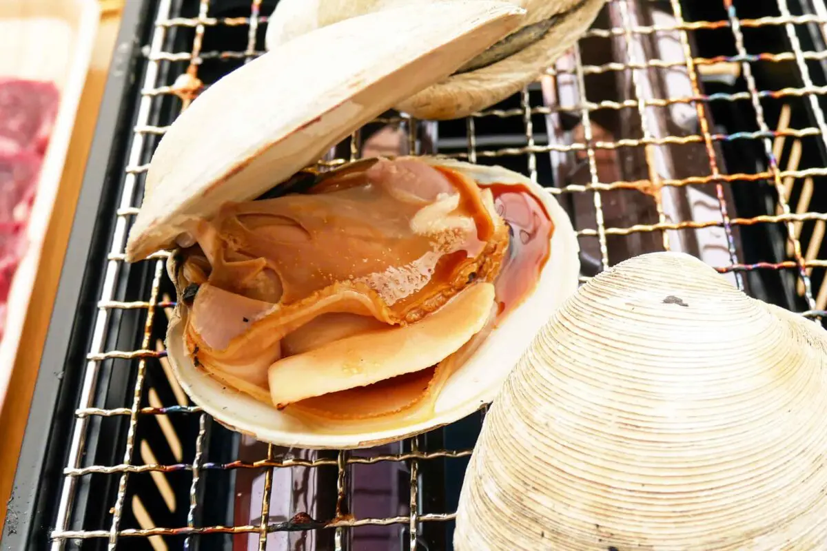 sirabee20240919aburiya5