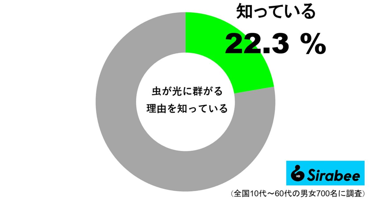 虫が光に群がる理由を知っている