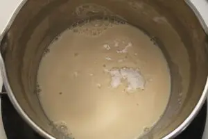 sirabee20240926mochi2