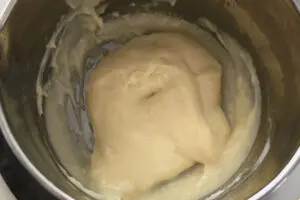 sirabee20240926mochi3