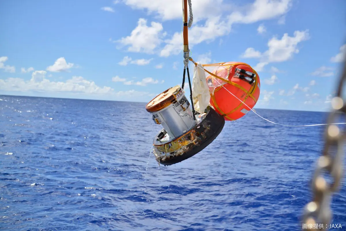 sirabee20240930tiger5