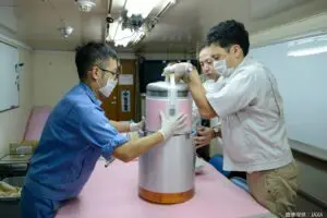 sirabee20240930tiger6