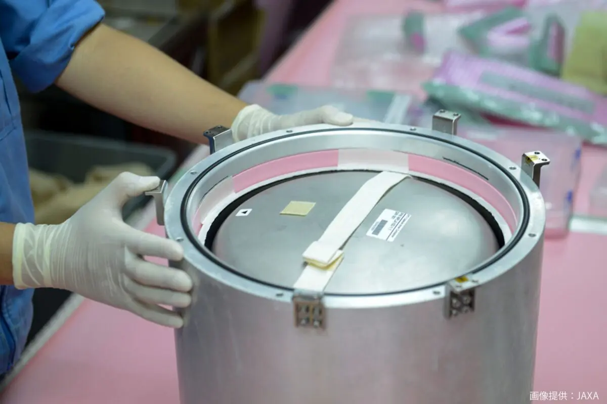 sirabee20240930tiger7