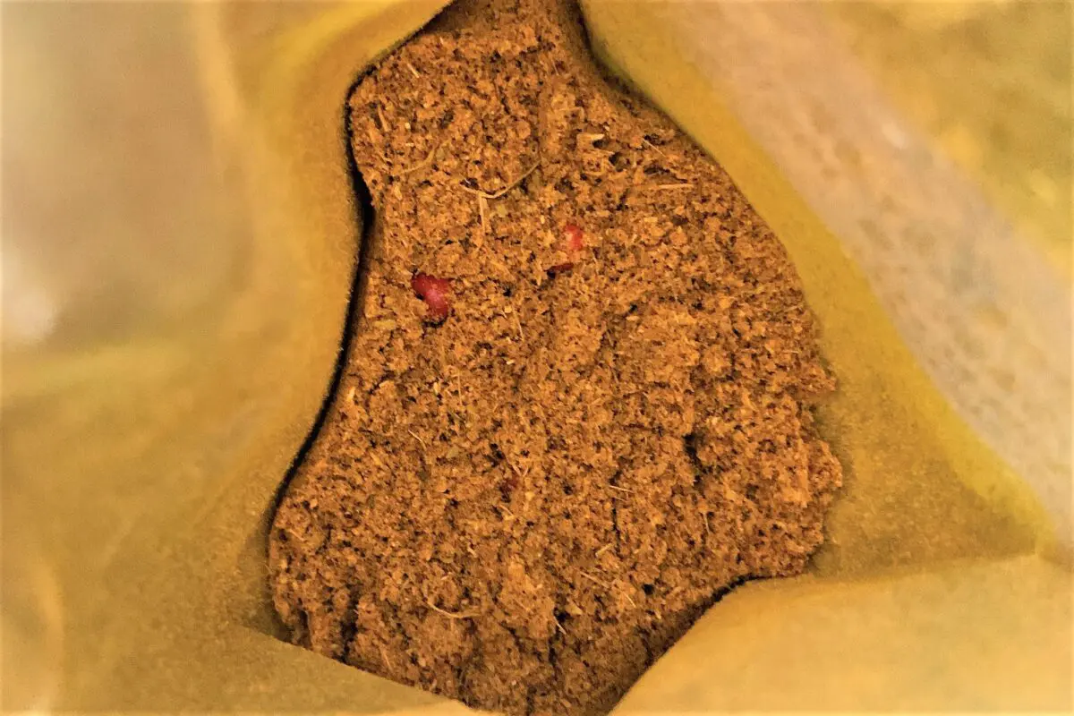 sirabee20241018curry3