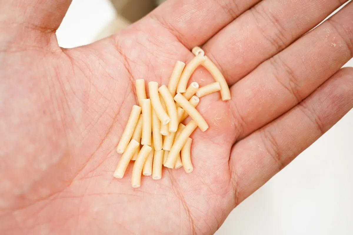 sirabee20241024Macaroni&Cheese5