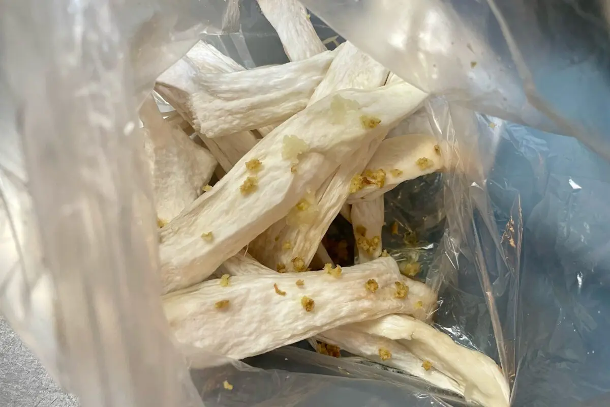 sirabee20241024eringi4