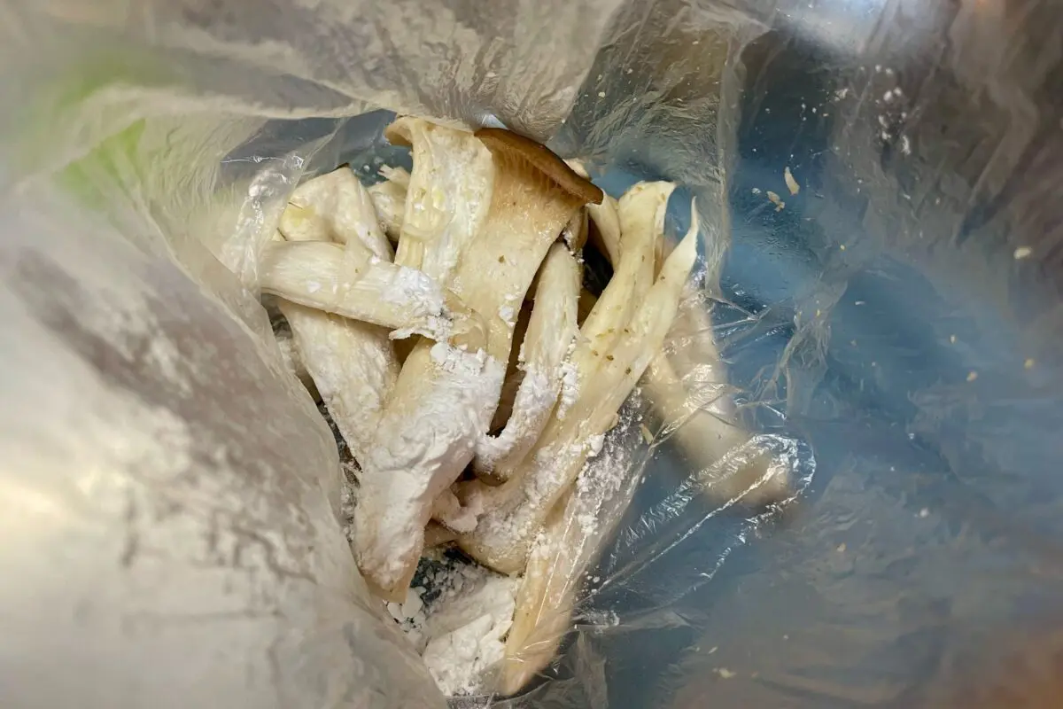 sirabee20241024eringi5