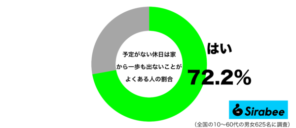 予定がない休日は家から一歩も出ないことがよくあるグラフ