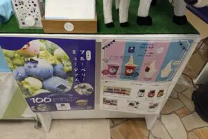 sirabee20241103kiyomilk004