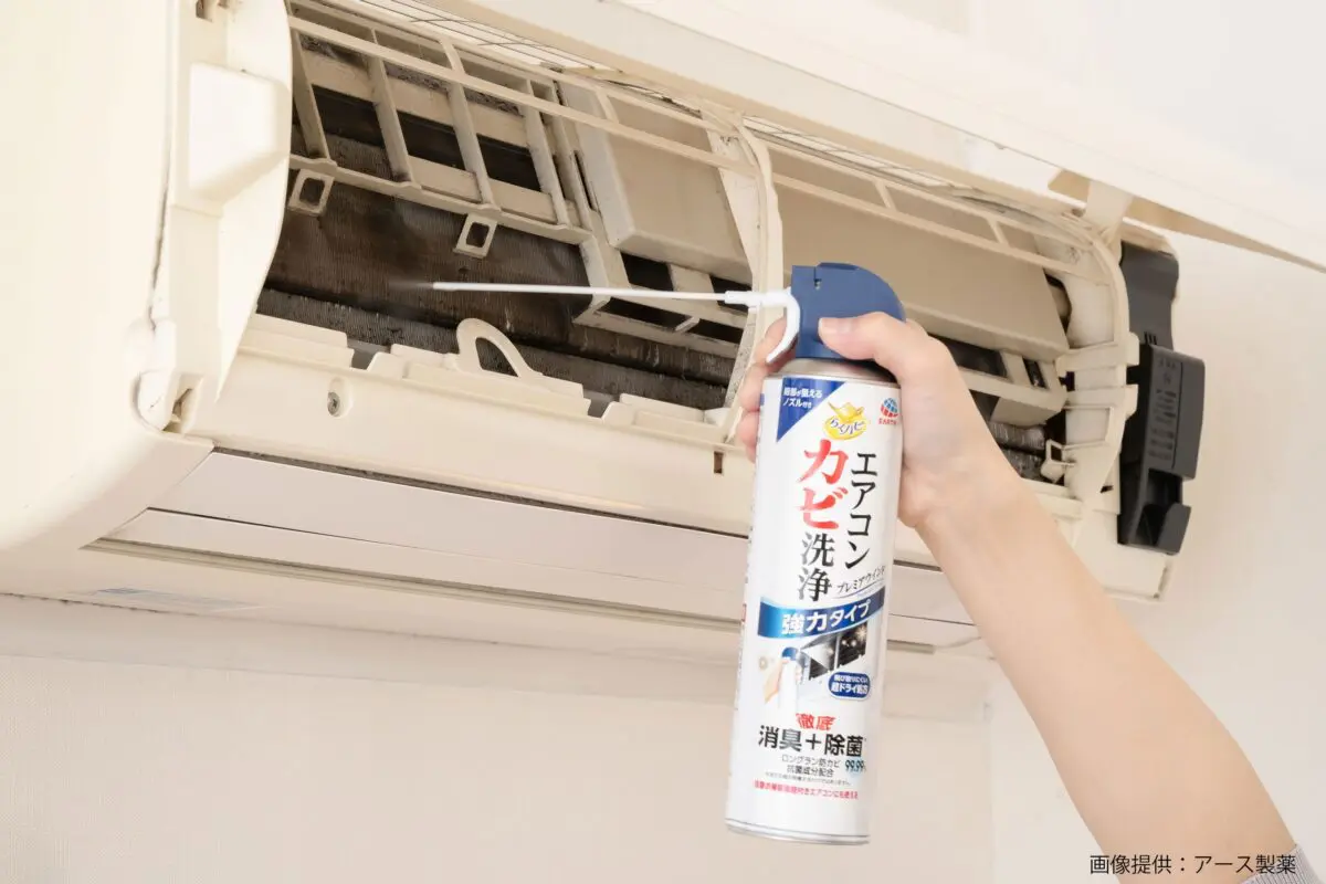 sirabee20241106earth4