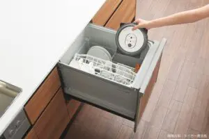 sirabee20241106tiger4