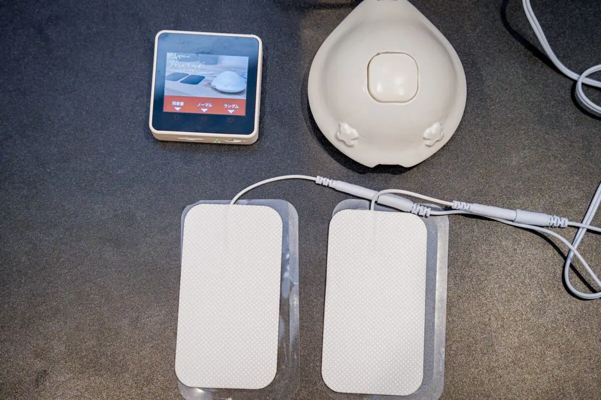 sirabee20241107seiri005