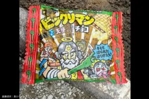 sirabee20241108bikkuriman2