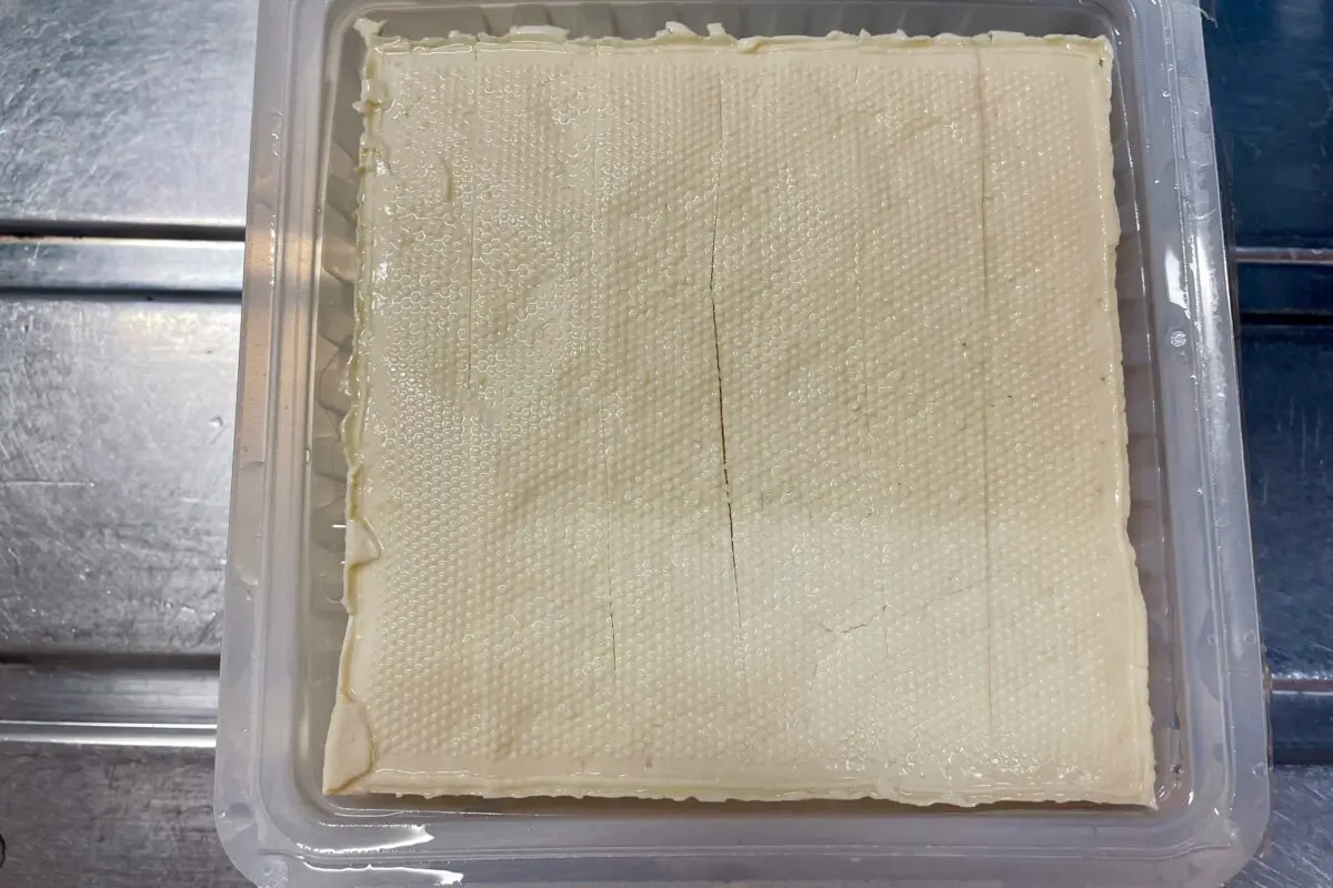 sirabee20241108tofu2