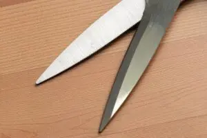 sirabee20241110mutekibasami_hasami09546