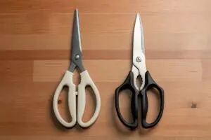 sirabee20241110mutekibasami_hasami09548