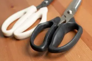 sirabee20241110mutekibasami_hasami09555