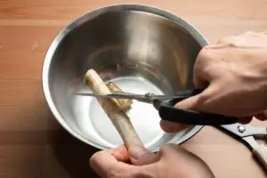 sirabee20241110mutekibasami_hasami09571