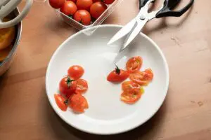 sirabee20241110mutekibasami_hasami09604