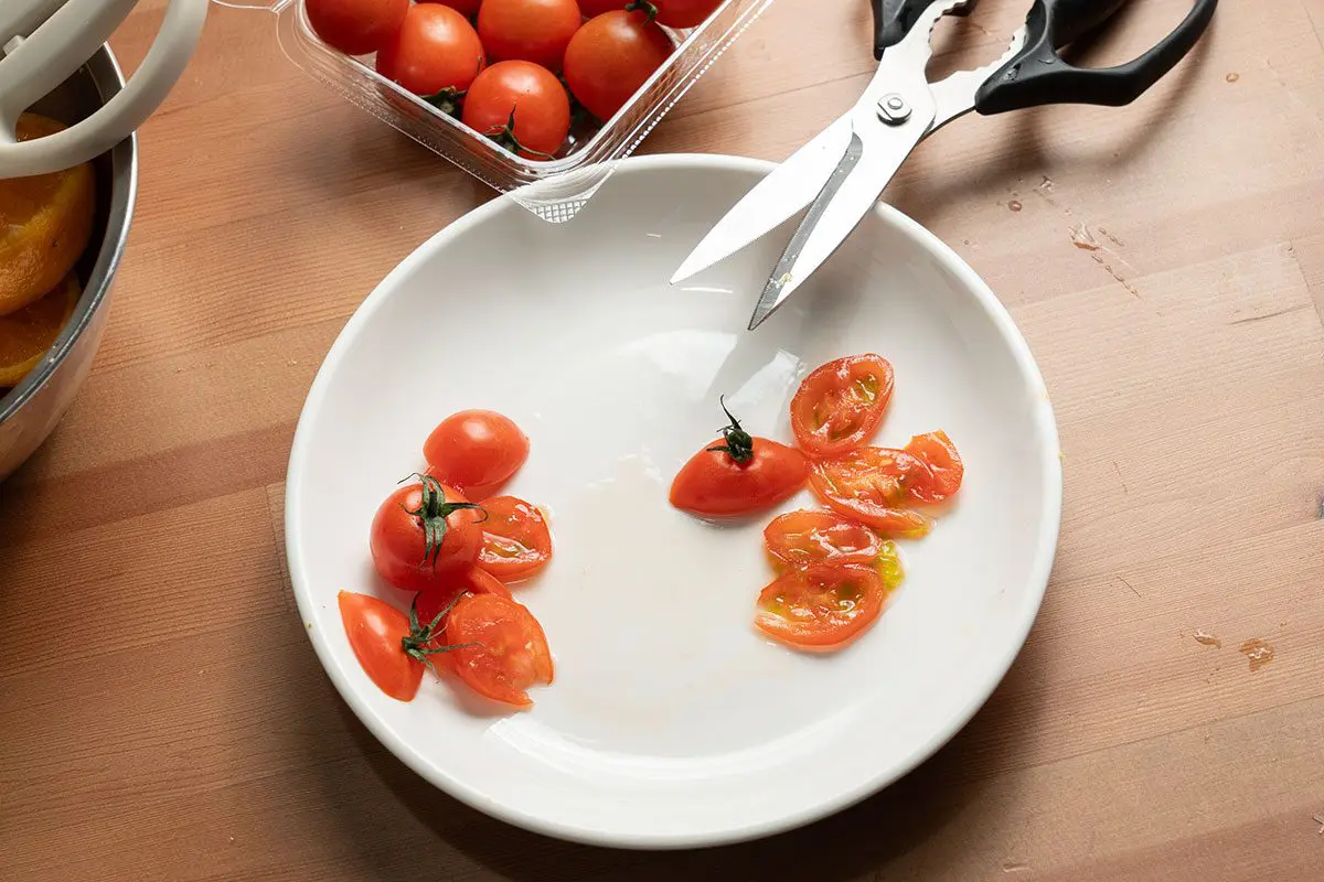 sirabee20241110mutekibasami_hasami09604