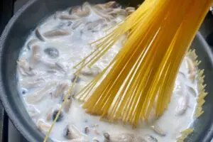 sirabee20241112pasta4