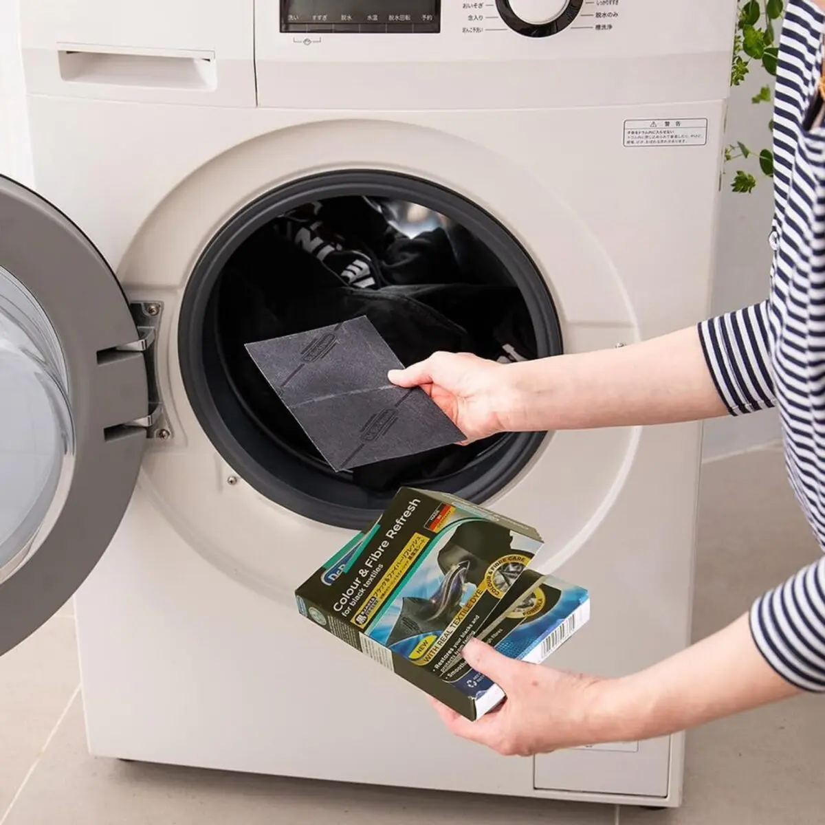 sirabee20241113dr.b2