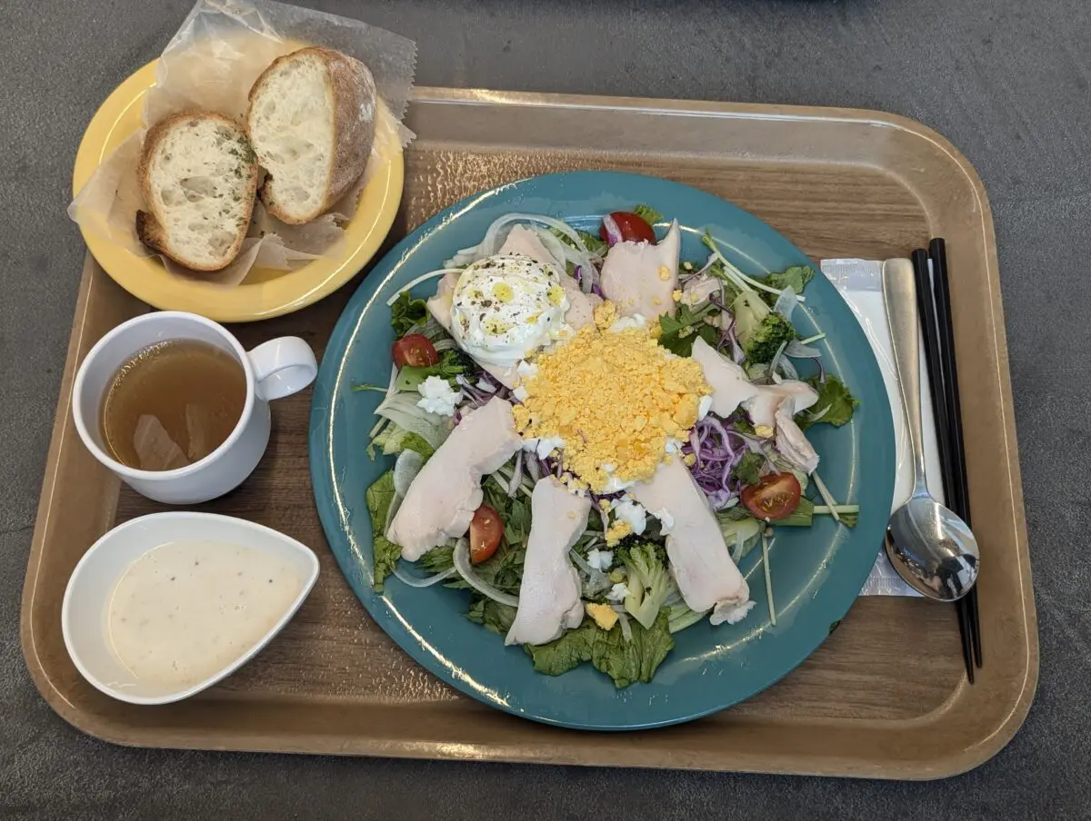 sirabee20241119nittaidai005