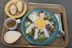 sirabee20241119nittaidai005