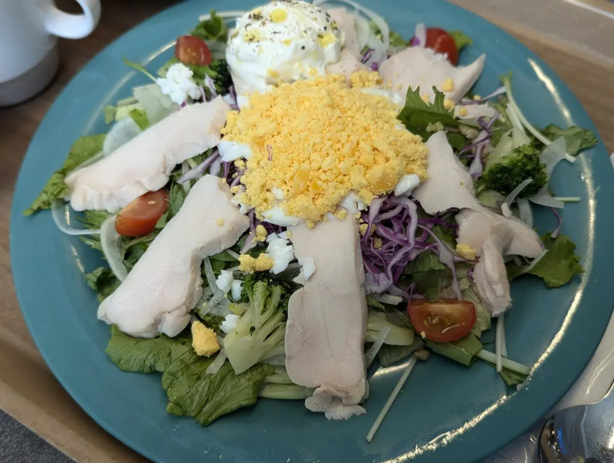 sirabee20241119nittaidai007