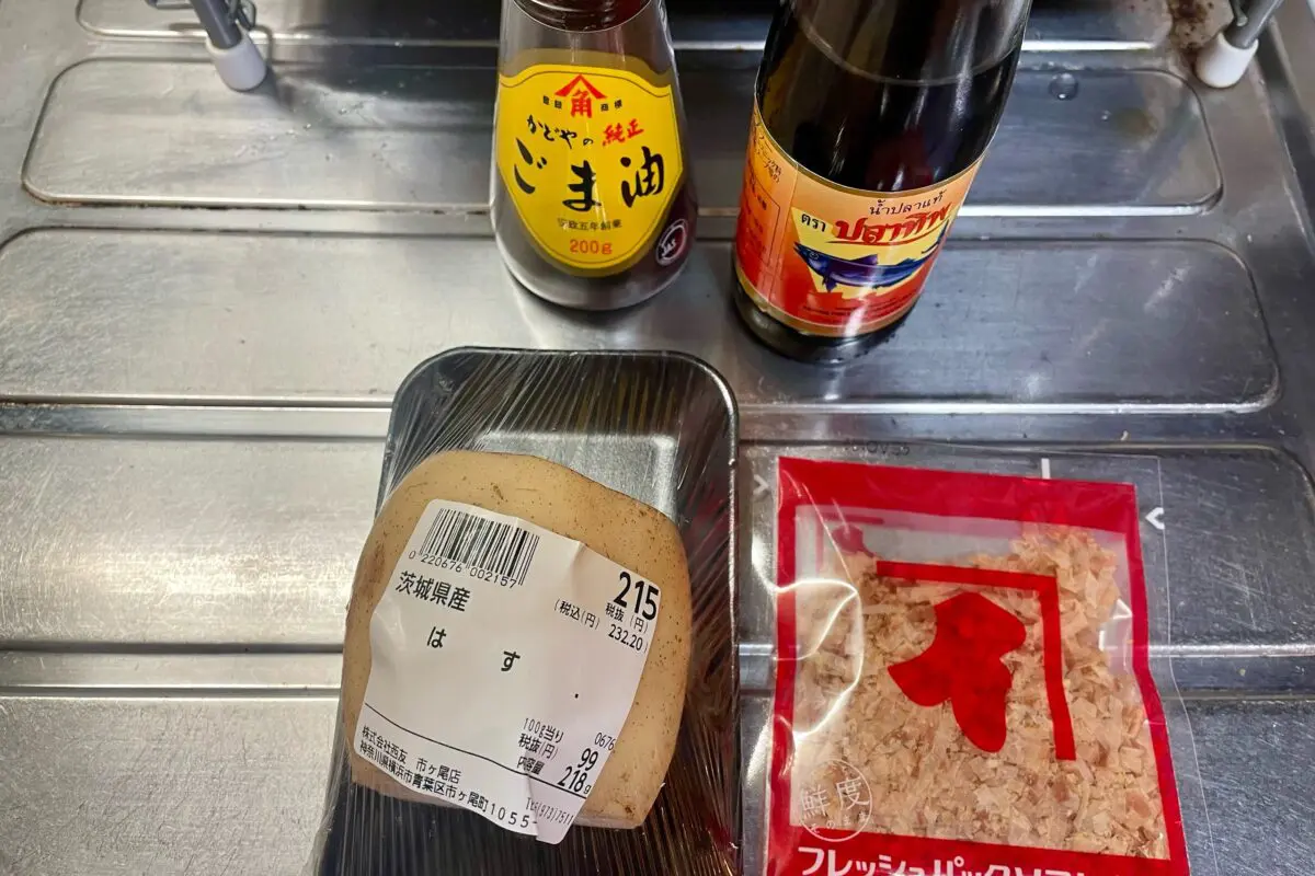 sirabee20241119rotusroot1