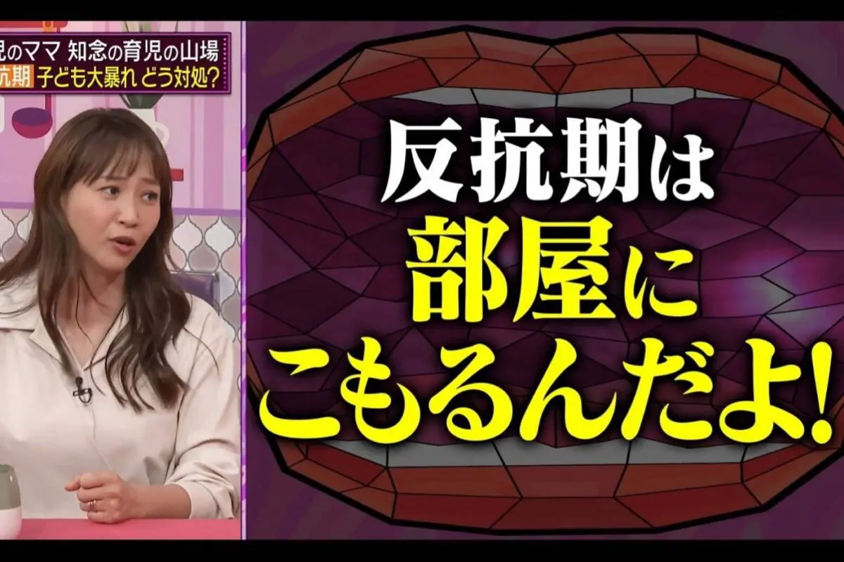 sirabee20241120abema5