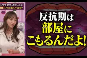 sirabee20241120abema5