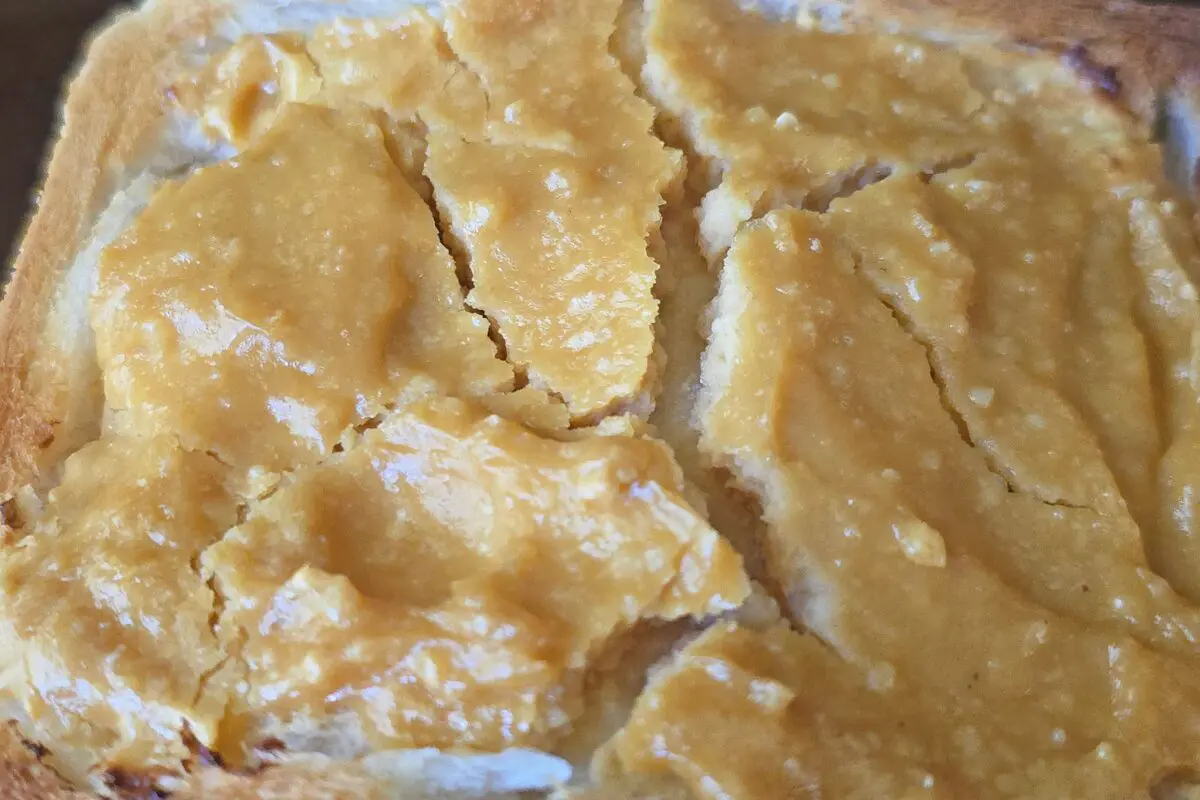 sirabee20241120cheese7