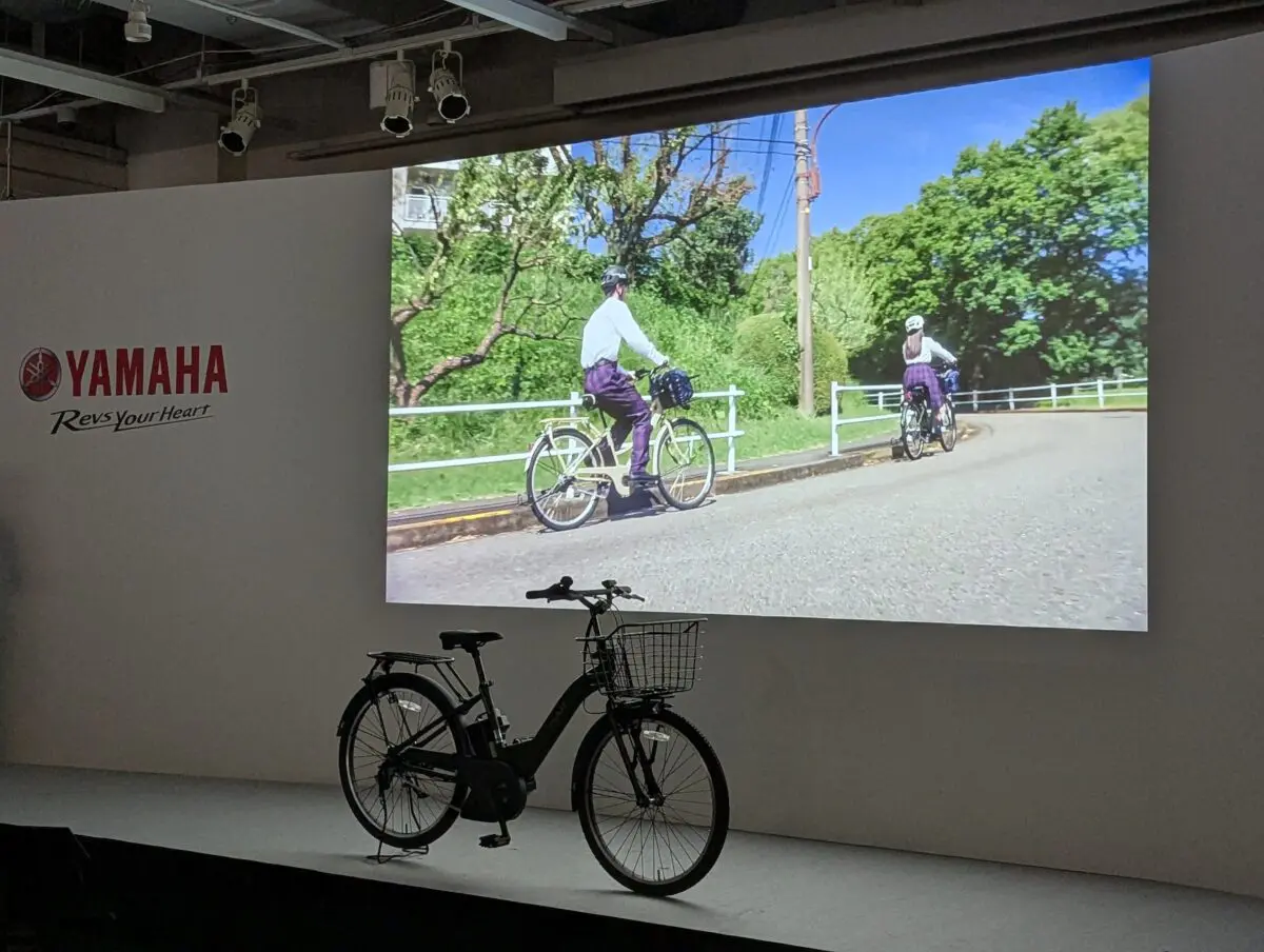 sirabee20241121pas002