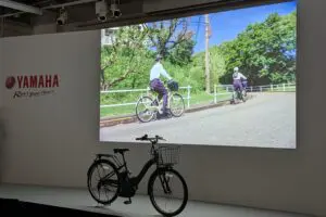 sirabee20241121pas002