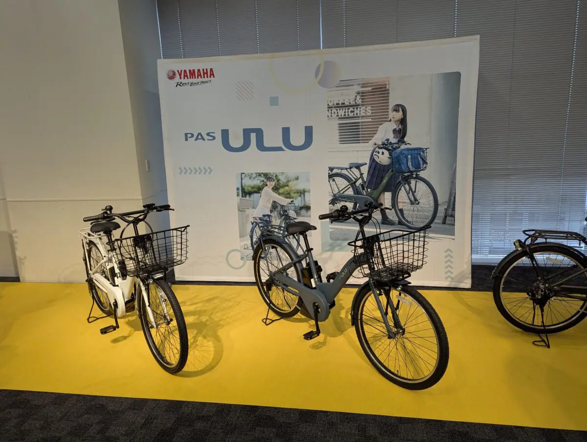 sirabee20241121pas004