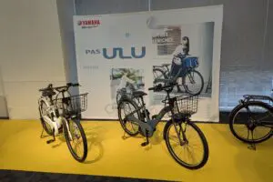 sirabee20241121pas004