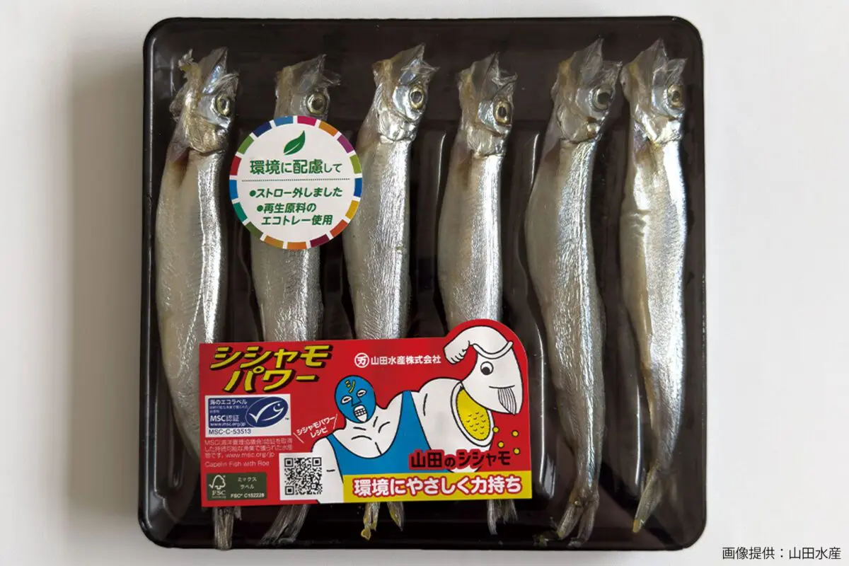 sirabee20241121yamadasuisan4