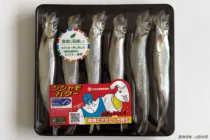 sirabee20241121yamadasuisan4