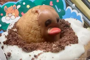 sirabee20241122misterdonut2