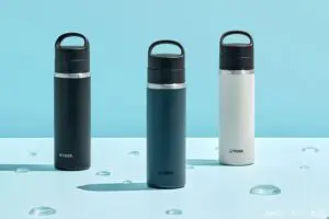 sirabee20241127tiger4