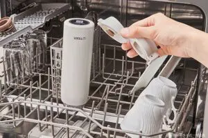 sirabee20241127tiger9