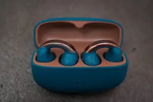 sirabee20241129victor_7