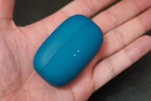 sirabee20241129victor_9