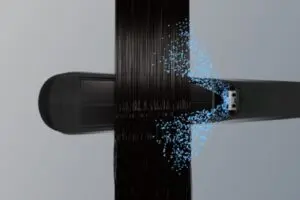 sirabee20241201panahi2