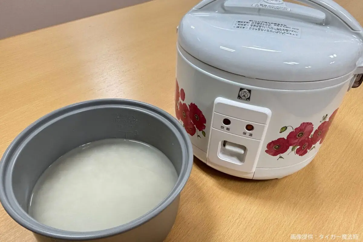 sirabee20241202tiger7