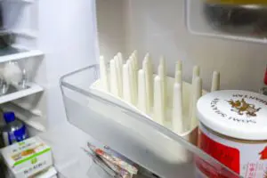 sirabee20241202vegimage4