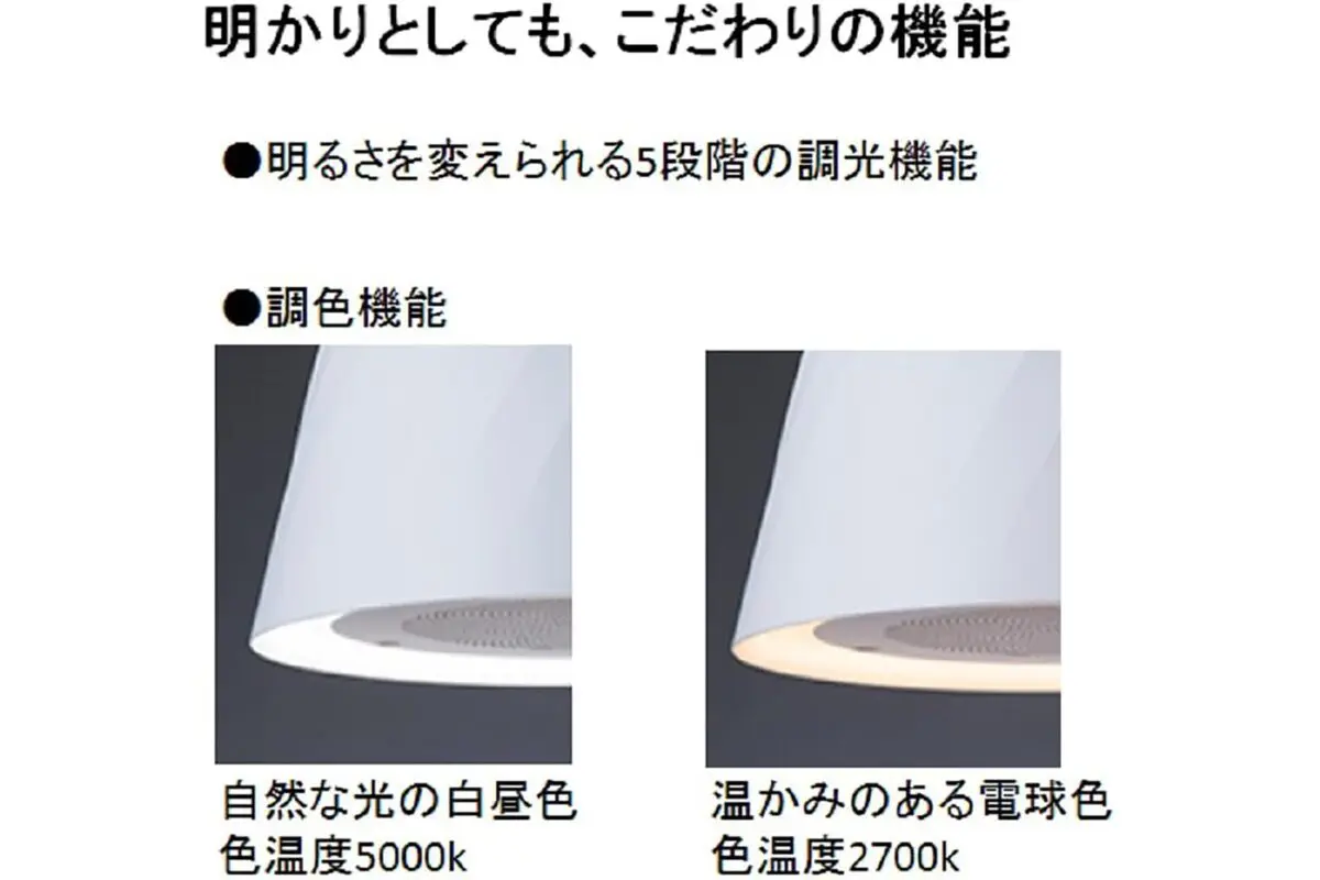 sirabee20241204Light_4